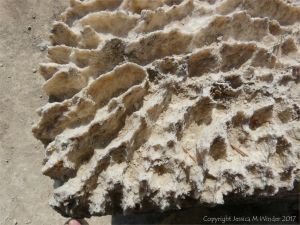 Ridge and furrow texture and pattern on the eroded surface of gypsum building blocks