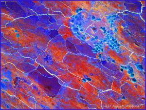 Abstract image based on natural fracture patterns in soft rocks
