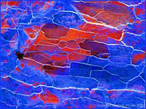 Abstract image based on natural fracture patterns in soft rocks