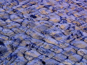 Natural patterns in rippled water