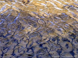 Natural patterns in rippled water