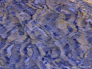 Natural patterns on rippled water