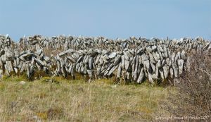 Dry stone walls on The Burren