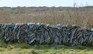 Dry stone walls on The Burren