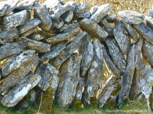 Dry stone walls on The Burren