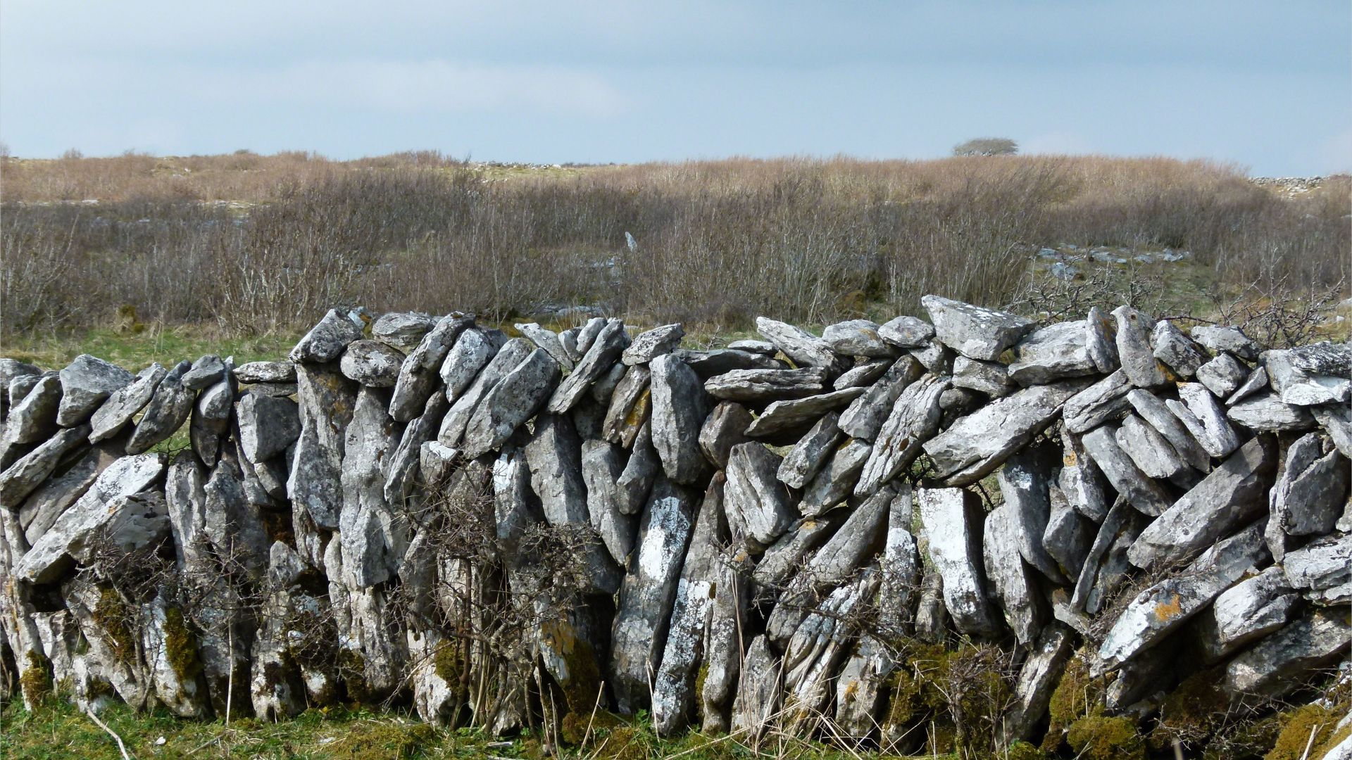 Dry stone walls on The Burren