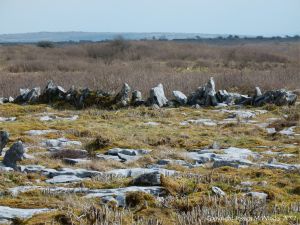 Dry stone walls on The Burren