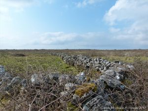 Dry stone walls on The Burren