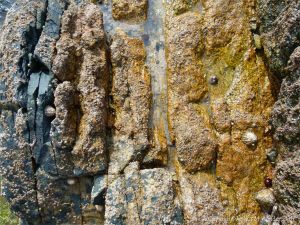 Natural pattern and texture in igneous rocks