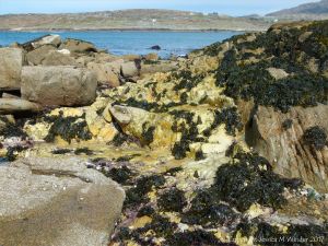 Contrasting rock types at Dogs Bay