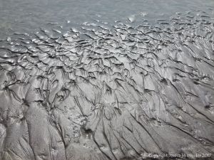Close-up of sand ripple pattern on the beach at Ventry Bay on the Dingle Peninsula in Ireland