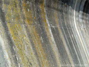 Natural pattern of stripes on a concrete sea wall