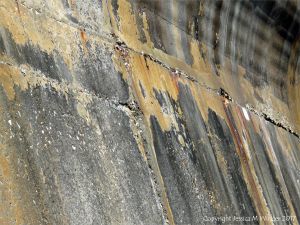 Natural pattern of stripes on a concrete sea wall