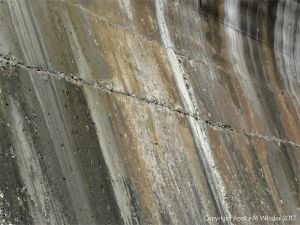 Natural pattern of stripes on an old concrete sea wall