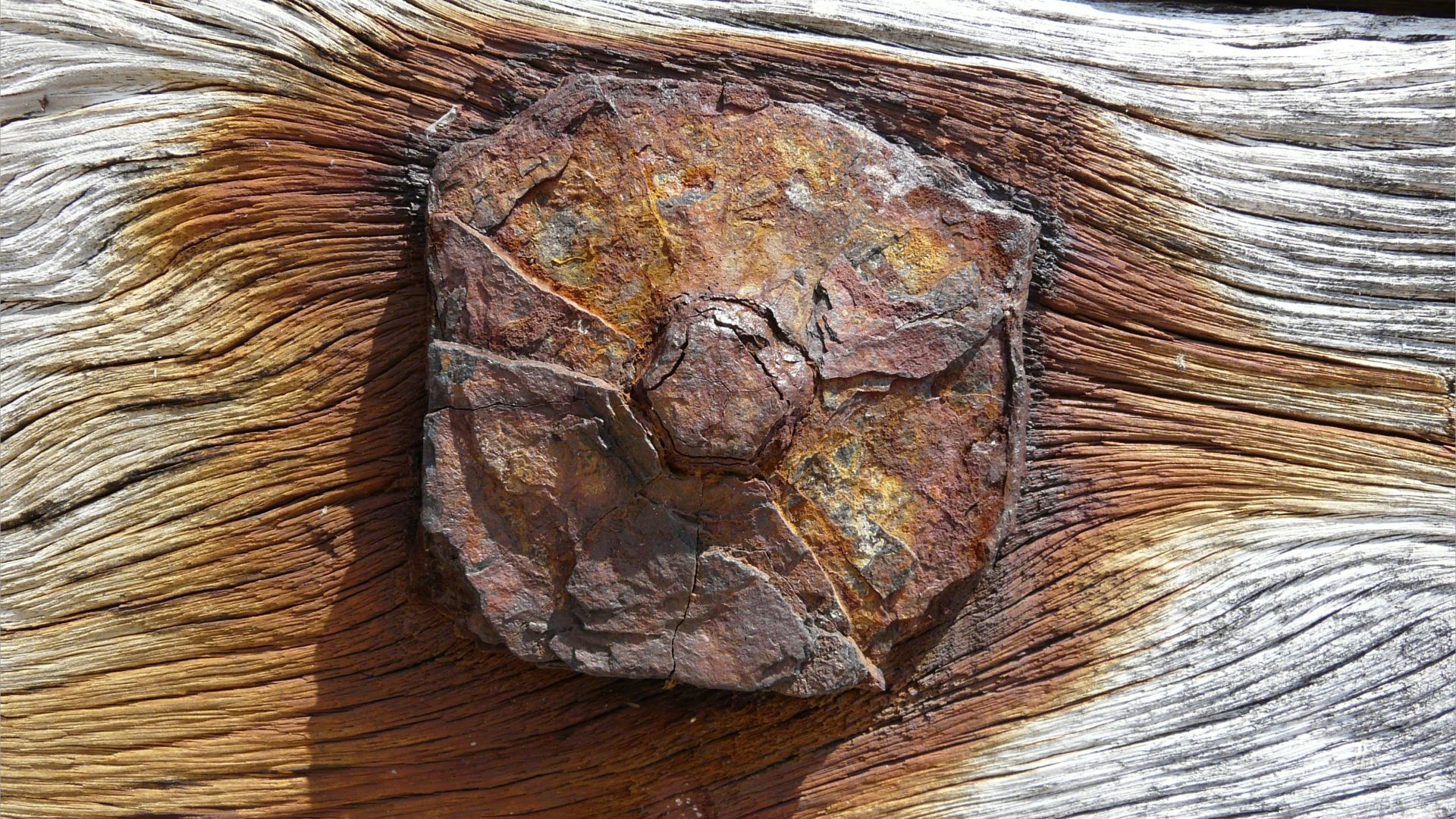 Rusty iron fitments on a wooden breakwater on the seashore