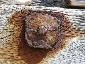 Rusty iron fitments on a wooden breakwater on the seashore