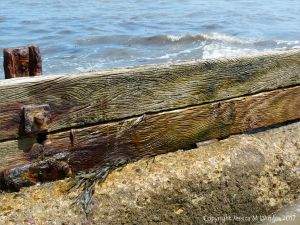 Wave-like water-etched woodgrain patterns in breakwater timbers