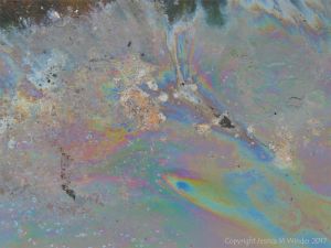 Rainbow-coloured bacterial film on the surface of iron-rich water