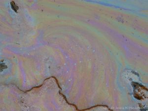 Rainbow-coloured bacterial film on the surface of iron-rich water