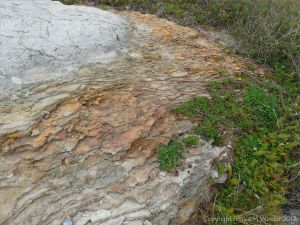 Context shot showing iron-rich rocks from which the beach stream with iridescent film issued