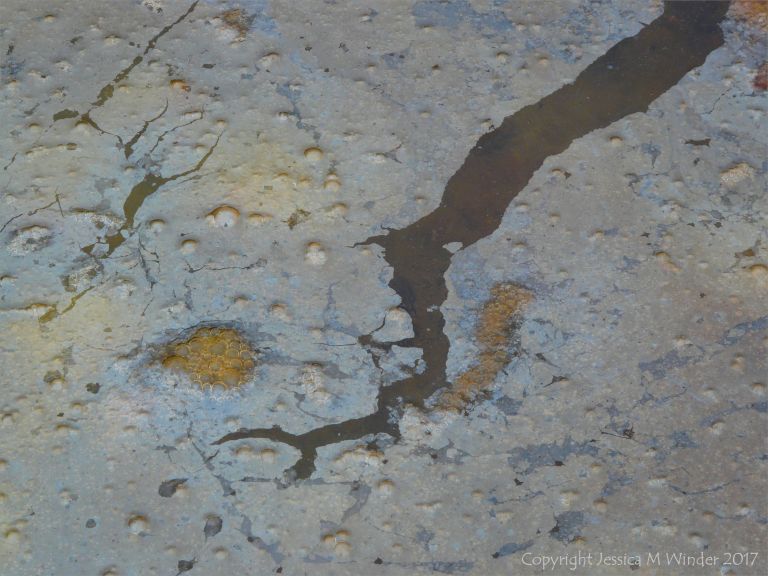 Oxygen bubbles from photosynthetic activity of green algae trapped below a broken surface film caused by bacteria