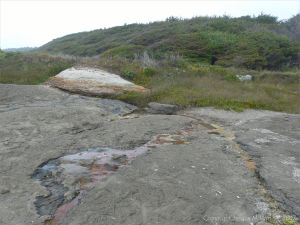 Context shot showing small stream with iridescent film on the beach at Yachats in Oregon