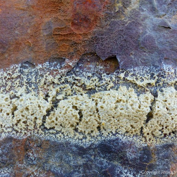 Contrasting colour and texture of dried sea foam on rusty iron