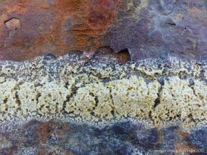 Contrasting colour and texture of dried sea foam on rusty iron