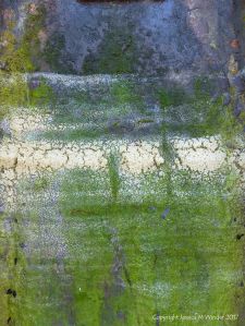 Dried sea foam on algae-coated rusty iron