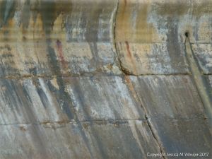 Detail of natural staining pattern on a concrete sea wall
