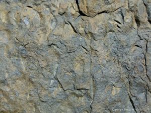 Detail of rock texture and pattern at Cape Tribulation - meta-sedimentary rocks
