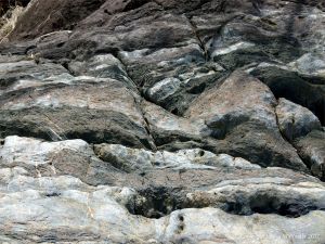 Rock texture and pattern at Cape Tribulation - meta-sedimentary rocks