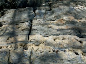 Rock texture and pattern at Cape Tribulation - meta-sedimentary rocks