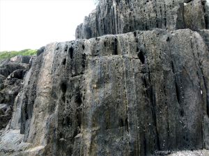 Rock texture and pattern at Cape Tribulation - meta-sedimentary rocks
