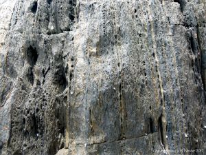 Close-up of rock texture and pattern at Cape Tribulation - meta-sedimentary rocks