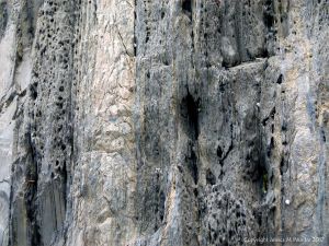 Close-up of rock texture and pattern at Cape Tribulation - meta-sedimentary rocks