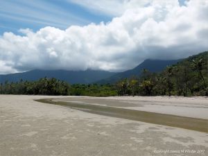 Small ball-shaped sand pellets produced by the feeding activities of the "Sand Bubbler" Crab form darker areas on the surface of the beach