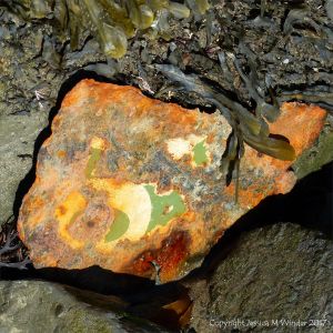 Piece of painted rusty metal on the beach