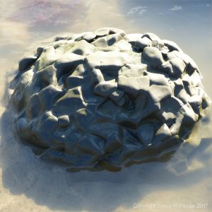 Interesting boulder in a pool of sea water looking like a piece of abstract sculpture