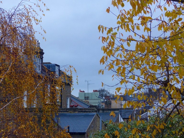 Roof tops and back gardens in an urban landscape with leaves still clinging to the trees in late November.