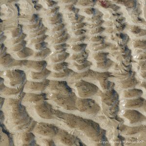 Sand ripple pattern