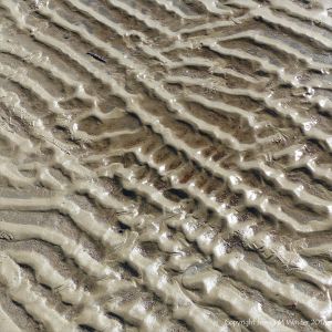 Sand ripple patterns at low tide