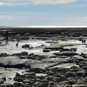 View of the rocky ledges below the new sea wall at Lyme Regis in Dorset, England.