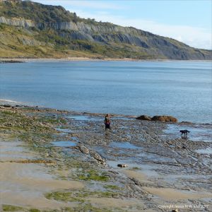 View looking east towards Black Ven from the new sea wall at Lyme Regis in Dorset
