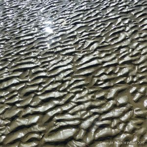 Sand ripple pattern on the beach below the new sea wall at Lyme Regis