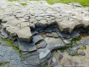 The contrasting rock strata on the shore below the new sea wall at Lyme Regis