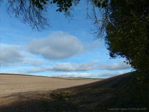 Views from a walk through arable fields in the Dorset countryside