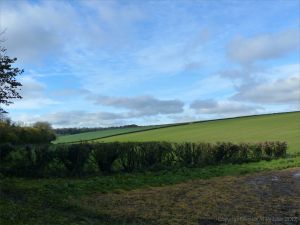Views from a walk through arable fields in the Dorset countryside