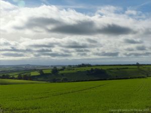 Views from a walk through arable fields in the Dorset countryside