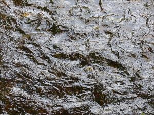 Water surface texture in a fast flowing river